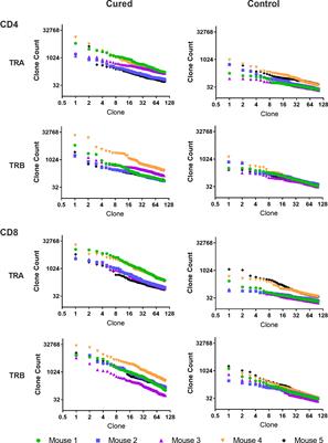 Anti-tumor memory CD4 and CD8 T-cells quantified by bulk T-cell receptor (TCR) clonal analysis